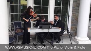 VSmusic4u Trio Piano, Violin & Flute Wedding Cocktail Hour Musicians Long Island NY