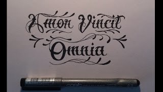 Amor Vincit Omnia Lettering