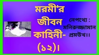 মরমী'র জীবন কাহিনী- (১২)। নেপথ্যে : মনিরুজ্জামান প্রমউখ।#entertainment #বিনোদন #sad_story #দুঃখ_কথা