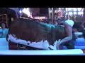 bull riding girl dress