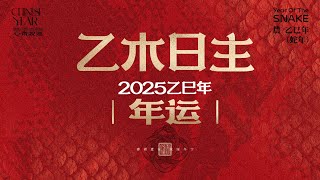 乙木日主乙巳年运势总论丨涉及财官子病灾丨2025年注意事项说明书