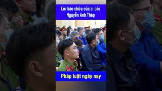 Lời bào chữa của bị cáo Nguyễn Anh Thép