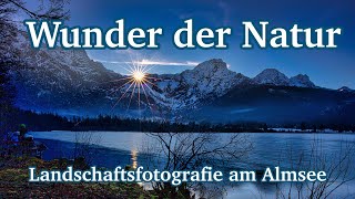 Wunder Natur I Fotografieren am Almsee