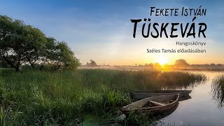 Fekete István: Tüskevár