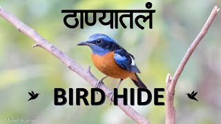 ठाण्यातलं bird hide। संजय गांधी नॅशनल पार्क बर्ड हाईड। मानपाडा, येऊर येथील पक्ष्यांची माहिती | SGNP