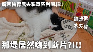 我的貓居然嗨到斷片了…？！和那堤開箱：韓國梅德農夫貓草系列 EP92