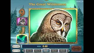 Wild North free spins and BIG WIN