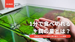 【もう餌で水を汚さない】熱帯魚の食べ残しがない