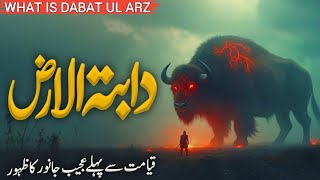 dabat ul arz kiya hai | dabat ul arz qayamat ki nishani | daba tul arz in quran | Vo Muslim