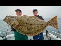 MASSIVE California Halibut!! Catch Clean Cook (Channel Island Fishing California)