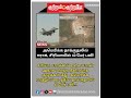 அமெரிக்க தாக்குதலில் ஈராக் சிரியாவில் 40 பேர் பலி breaking_news american attack syria