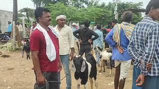 Rajarampalli Market/Rajarampalli Mekala Angadi