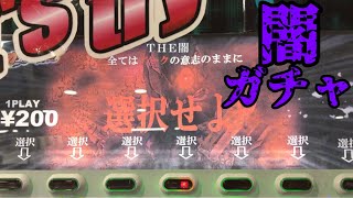 【闇ガチャ】秋葉原の仮面ライダー専門店のガンバライジングガチャ The闇ガチャに挑戦してみた