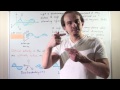 optical activity and optically active molecules