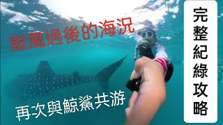 薄荷島 邦勞島 宿霧 鯨鯊 海龜 眼鏡猴   聖母無原罪教堂 笛鯛魚群 網紅餐廳      資生堂海鮮  高空滑索 完全攻略全紀錄