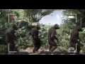 Monkeys dancing Alick Macheso