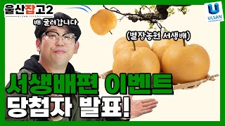 🎉울산잡고2 서생배 편 퀴즈 이벤트 발표🎊