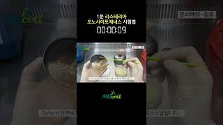 [식품공전] 리스테리아 모노사이토제네스 시험법 - 분리배양