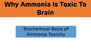 Why Ammonia is Toxic To The Brain | Biochemical Basis of Ammonia Toxicity