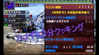 【MHX モンハンクロス動画】3’03 白疾風ナルガクルガLV10