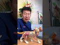 猫咪上床睡觉睡的危害你知道吗 猫咪上床睡觉睡的危害你知道吗养猫经验分享 养猫人 养猫知识