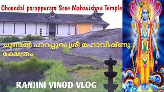 choondal Sree Mahavishnu Temple | ചൂണ്ടൽ ശ്രീ മഹാവിഷ്ണു ക്ഷേത്രം | Vlog 189 | Temple 30