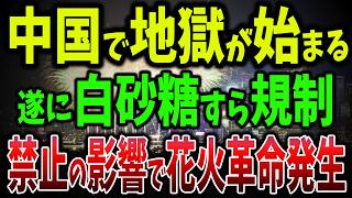 【海外の反応】中国で花火革命勃発！中国政府ついに白砂糖すら規制！共産党が「火」を恐れる本当の理由とは？【ゆっくり解説】