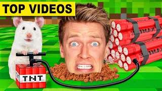 Best Hamster Maze Challenges 🐹 Minecraft vs Pancake Art - How To Escape Extreme Human Traps & Pranks