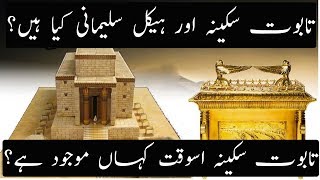 History of Taboot e Sakina And Haikal Sulemani Explained | Urdu  Hindi
