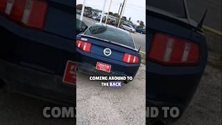 Listen to this Cammed and tuned Ford mustang GT 🐎 #cars #ford #muscle #youtubeshorts #automobile