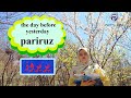 persian vocabulary farsi words including روز farsi persian