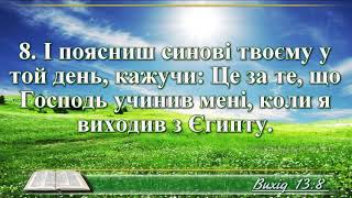 ВідеоБіблія Книга Вихід розділ 13 Хоменка