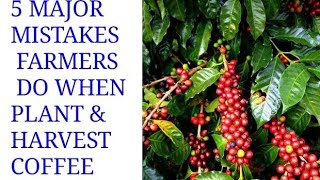 PROFITABLE COFFEE FARMING (YIGA ENIMA YE'MWANYI EYO'MULEMBE OFUNEMU KINGI) - OBULIMI NO'BULUNZI