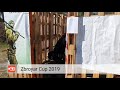 zbroyar cup Кубок Зброяра