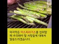 아스파라거스의 특징 효능 섭취방법 및 주의사항 a to z 홈앤짐