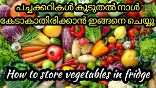 പച്ചക്കറി എങ്ങനെ  സൂക്ഷിക്കാം /How to keep vegetables fresh for a a long time /#vegetablesstorage