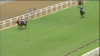 20201213 Hollywoodbets Greyville Race 1 won by SHELDON