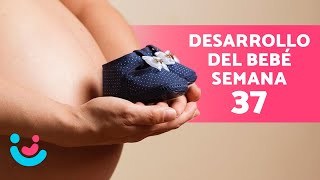 SÍNTOMAS de la SEMANA 37 de EMBARAZO 😣🤰🏻 (Cuidados y Cambios en tu Cuerpo)