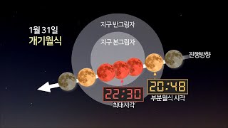 35년 만에 우주쇼…오늘 밤 '슈퍼 블루문' 개기월식 / 연합뉴스TV (YonhapnewsTV)