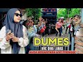 lagu viral Dumes voc diva laras alisa megantara