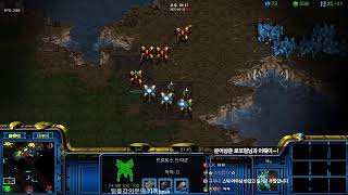 【 스틱 Live 】 주말 홈팀패기 짧은생방 스타 팀플 헌터 늑대77연승 기록방송 StarCraft TeamPlay 2025.02.15 토요일