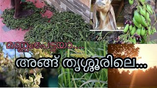 നാടു കാഴ്ചകൾ//തൃശ്ശൂരിൽ ഇത്രേ മനോഹരമായ കാഴ്ചകൾ ഉണ്ടെന്നു നിങ്ങൾക്കു അറിയോ?..my Small village..