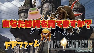 【FF9】FFにあのキャラが！？あなたは何を育てますか？　FFシリーズ人生初プレイ！俺っちが主役のFINAL FANTASY Ⅸ＃50