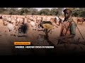 The Impact | Farmer - Herder Crisis In Nigeria