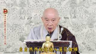 二零一四淨土大經科註（第四回 第464集） 淨空老法師 (有字幕)