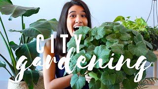 GROWING VEGGIES IN MY NYC APARTMENT | Container Gardening Butternut Squash + Sweet Potato!