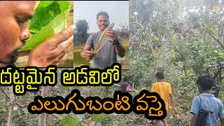 దట్టమైన అడవిలో తప్పిపోతే బతికి బయటపడటం ఎలా? how to survive in the forest