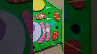 Plant Cell Model #biology#botany#art#craft#viralshort#trend#youtube#art#science#TLM