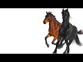 Old Town Road Remix feat. Billy Ray Cyrus 1 Hour Version