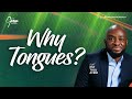 The Power of Praying in Tongues (Why Tongues Series) | Midweek Service | 18th September 2024